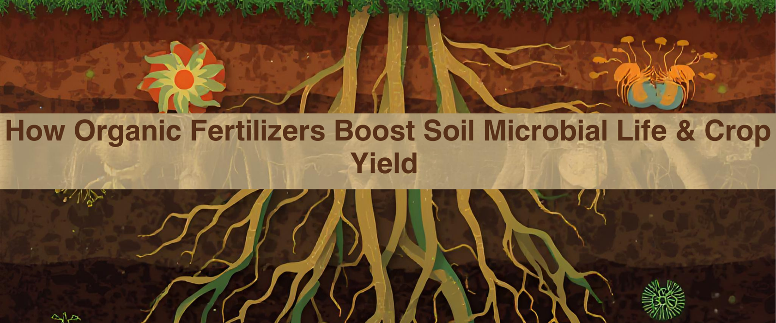 How Organic Fertilizers Boost Soil Microbial Life & Crop Yield