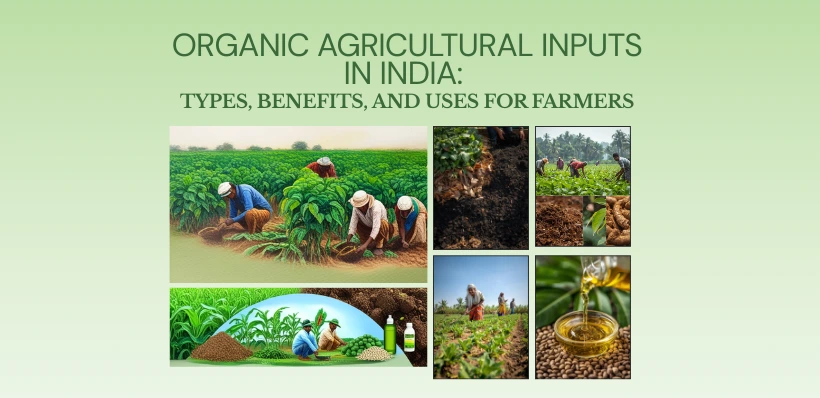 Organic Agricultural Inputs in India_ Types, Benefits, and Uses for Farmers